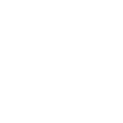 Real-Ginger