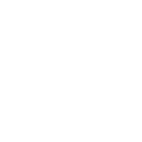 Real-Ginger