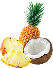 pineapple-coconut-mobile